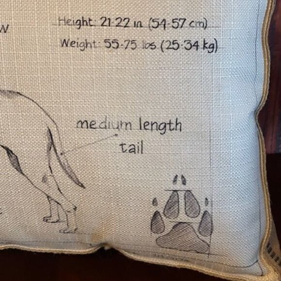 Decorative Splashworks Labrador Retriever Dog Breed Pillow - Picture 6 of 10